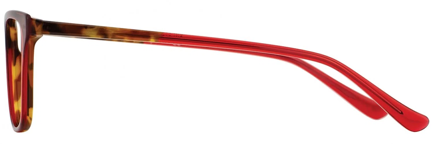 Cinzia CIN5109 Eyeglasses - view 11